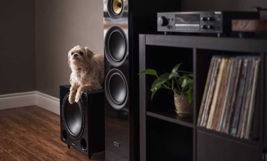 set subwoofer